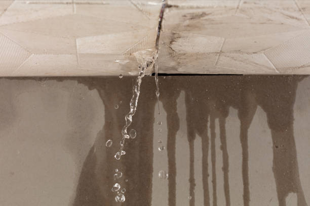 Professional Commercial Water Damage Restoration technician working in Rainsville, AL